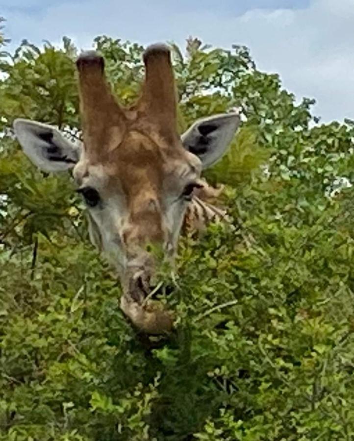 Overnight Stop Before Kruger National Park Phalaborwa Eksteriør bilde