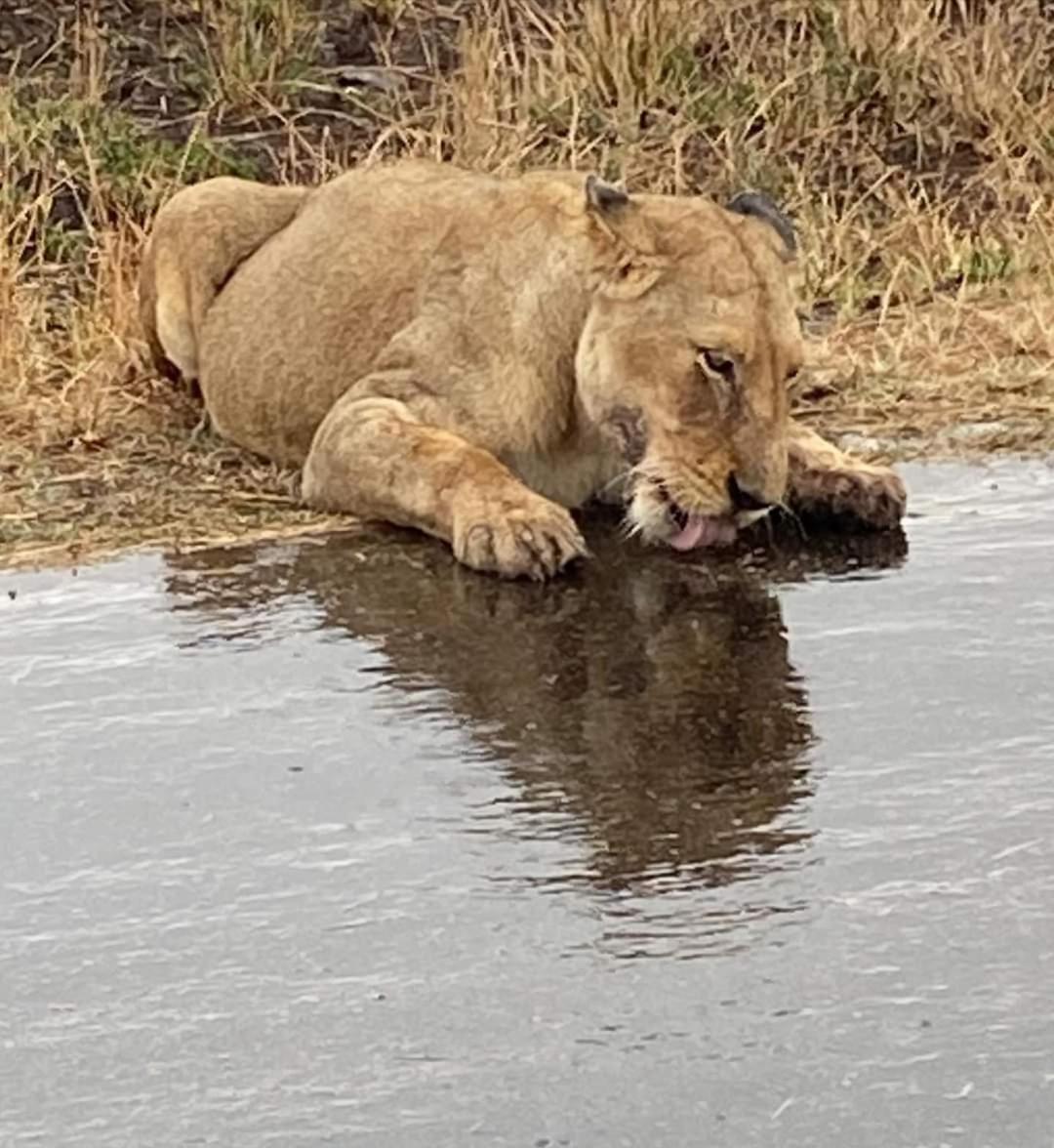 Overnight Stop Before Kruger National Park Phalaborwa Eksteriør bilde