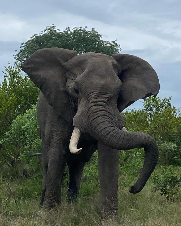Overnight Stop Before Kruger National Park Phalaborwa Eksteriør bilde